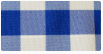 Print Gingham Blue/White